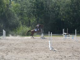 DSC_9345_web